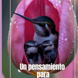 UN PENSAMIENTO PARA CADA DÍA